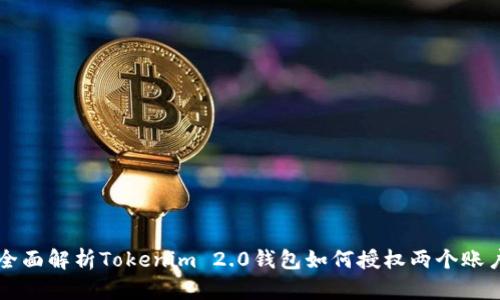 全面解析Tokenim 2.0钱包如何授权两个账户