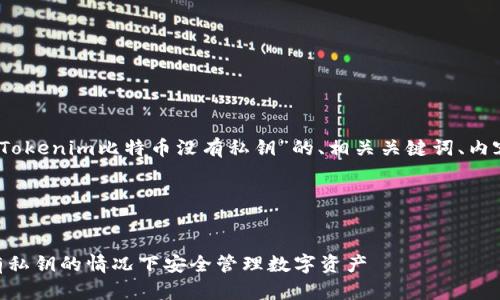 根据您的请求，以下是关于“Tokenim比特币没有私钥”的、相关关键词、内容大纲以及详细介绍的示例。

### 和关键词


Tokenim比特币：如何在没有私钥的情况下安全管理数字资产