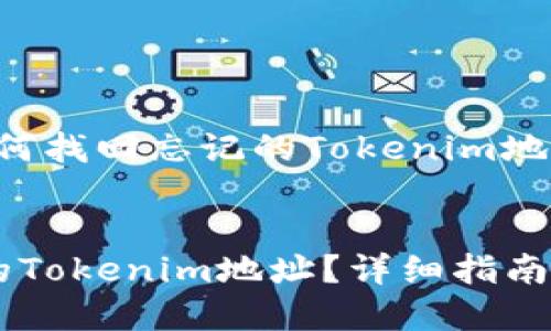 下面是关于“如何找回忘记的Tokenim地址”的相关内容。


如何找回忘记的Tokenim地址？详细指南与实用技巧