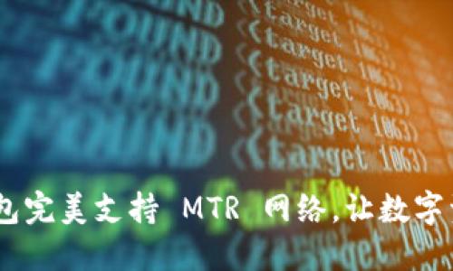 MetaMask 钱包完美支持 MTR 网络，让数字资产管理更轻松