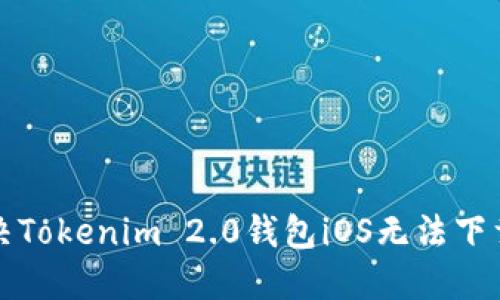 如何解决Tokenim 2.0钱包iOS无法下载的问题