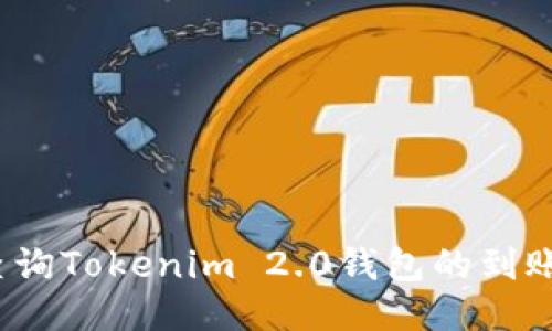 如何查询Tokenim 2.0钱包的到账记录？
