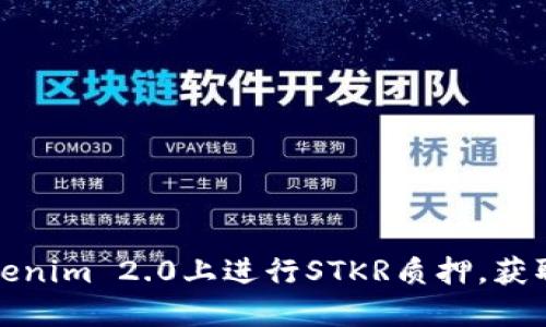 如何在Tokenim 2.0上进行STKR质押，获取最大收益