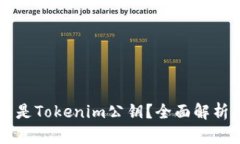 ### 什么是Tokenim公钥？全面解析与实际应用
