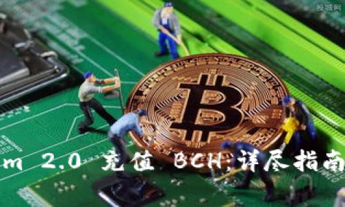 如何使用Tokenim 2.0 充值 BCH：详尽指南与常见问题解答