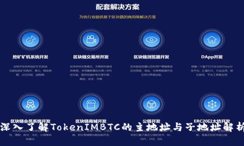 深入了解TokenIMBTC的主地址与子地址解析