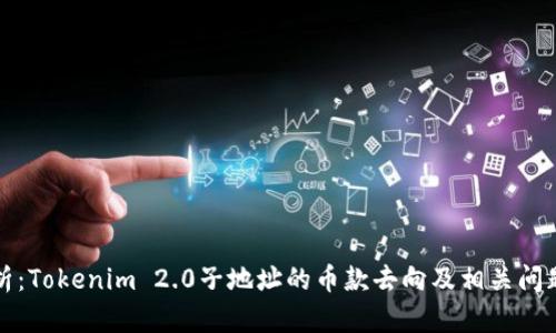 全解析：Tokenim 2.0子地址的币款去向及相关问题解答