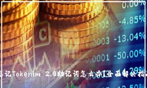 忘记Tokenim 2.0助记词怎么办？全面解决指南