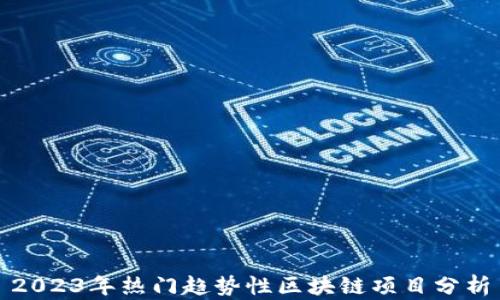 2023年热门趋势性区块链项目分析