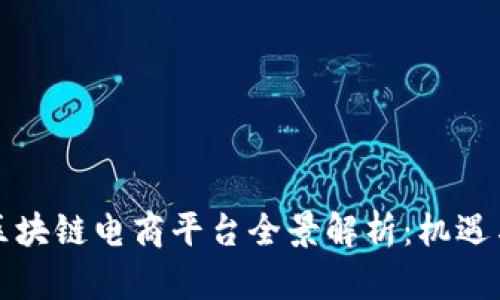 海南区块链电商平台全景解析：机遇与未来