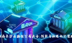 湖南长沙区块链公司大全：创新与机遇的汇聚地