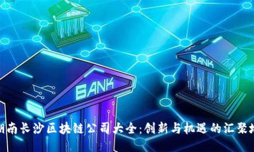 湖南长沙区块链公司大全：创新与机遇的汇聚地