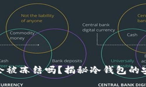 冷钱包TokenIM会被冻结吗？揭秘冷钱包的安全性与风控机制