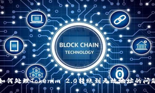 如何处理Tokenim 2.0转账到无效地址的问题