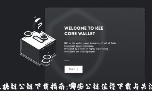 
区块链公链下载指南：哪些公链值得下载与关注？