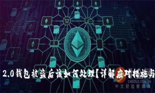 Tokenim 2.0钱包被盗后该如何处理？详解应对措施与预防策略