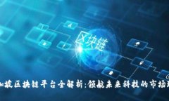 新加坡区块链平台全解析：领航未来科技的市场