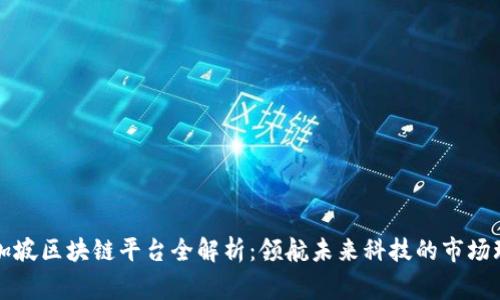 新加坡区块链平台全解析：领航未来科技的市场玩家