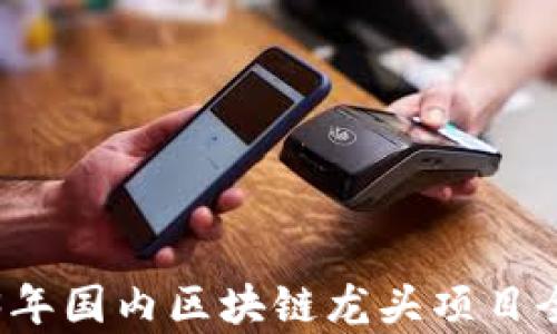 
2023年国内区块链龙头项目全解析