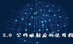 TokenIM 2.0 公网映射后的使用指南与策略