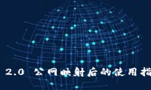 TokenIM 2.0 公网映射后的使用指南与策略