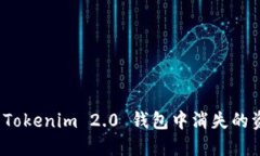 如何解决Tokenim 2.0 钱包中消失的资产问题？