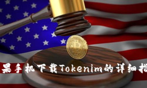 苹果手机下载Tokenim的详细指南