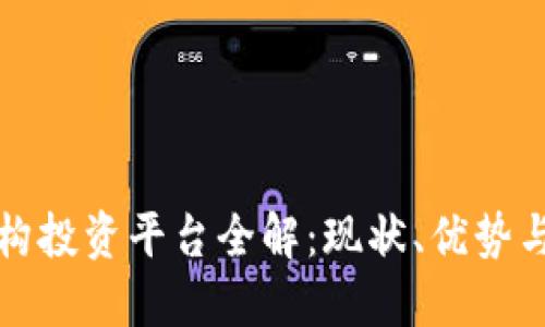 区块链机构投资平台全解：现状、优势与未来趋势