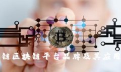 蚂蚁链区块链平台品牌及其应用解析