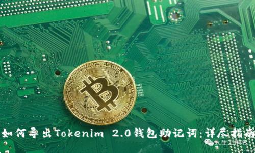 如何导出Tokenim 2.0钱包助记词：详尽指南