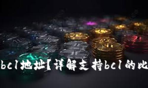 什么钱包支持bc1地址？详解支持bc1的比特币钱包选择