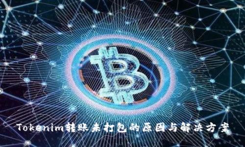 Tokenim转账未打包的原因与解决方案