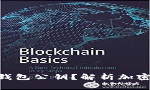 什么是Tokenim 2.0钱包公钥？解析加密货币安全的核心概念