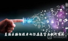 美国区块链技术的潜在危害与挑战分析