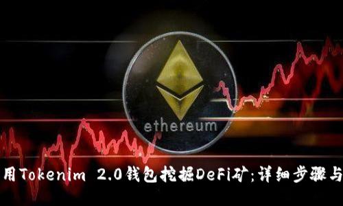 如何用Tokenim 2.0钱包挖掘DeFi矿：详细步骤与技巧