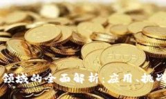 区块链数据领域的全面解析：应用、挑战与未来