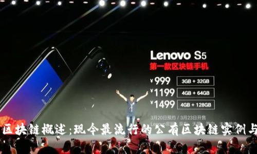 公有区块链概述：现今最流行的公有区块链实例与应用