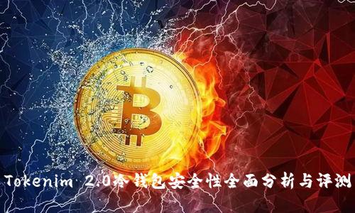 Tokenim 2.0冷钱包安全性全面分析与评测
