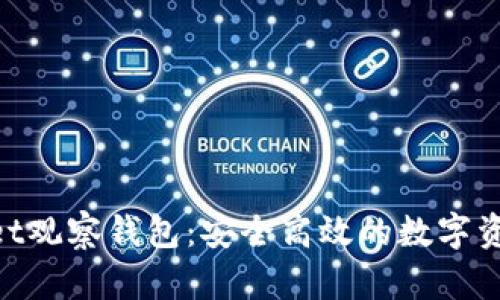 TokenPocket观察钱包：安全高效的数字资产管理助手