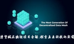 天津望城区块链项目全解：探索未来科技的新前