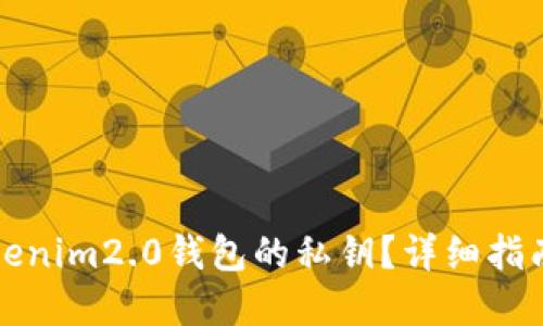 如何找回Tokenim2.0钱包的私钥？详细指南及解决方案