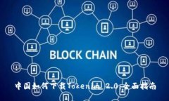 中国如何下载Tokenim 2.0：全面指南