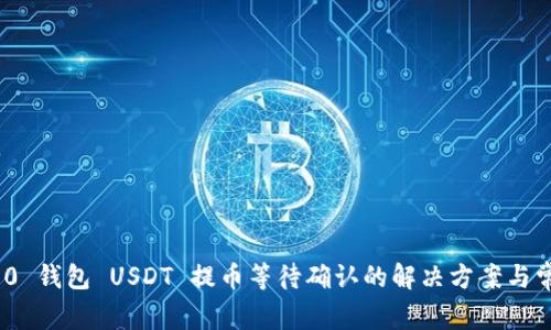 TokenIM 2.0 钱包 USDT 提币等待确认的解决方案与常见问题解析