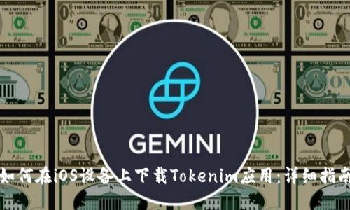 如何在iOS设备上下载Tokenim应用：详细指南