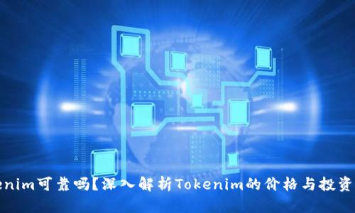 Tokenim可靠吗？深入解析Tokenim的价格与投资前景