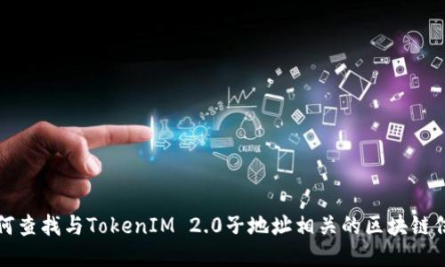 如何查找与TokenIM 2.0子地址相关的区块链信息