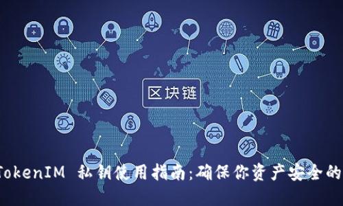 冷钱包 TokenIM 私钥使用指南：确保你资产安全的必备知识