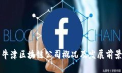 海南牛津区块链公司概况及发展前景分析