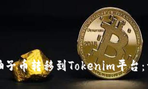 如何将柚子币转移到Tokenim平台：详细指南