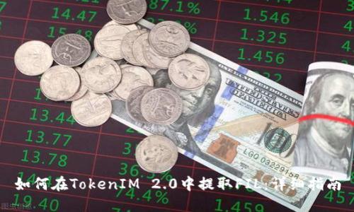 如何在TokenIM 2.0中提取FIL：详细指南